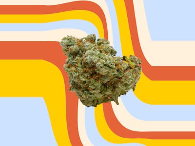 CATHEDRAL CATHEDRAL - FLOWER - INDICA - GMO Cannabis For Sale - Mr ...